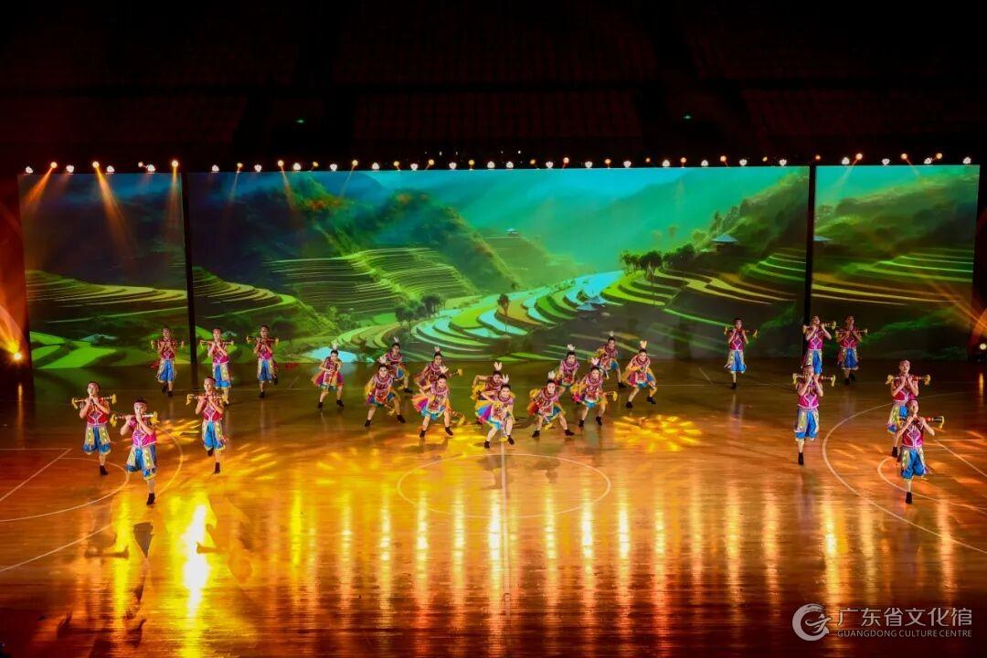 广东省文化馆-资讯动态-工作动态-“以舞之名，悦见自己” 2026年广东省文化馆老年大学舞蹈队招新开启
